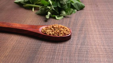 Kuru kişniş tohumları ile küçük bambu kaşığı ve yeşil taze demet kişniş yaprakları, Asya mutfağında ünlü baharatlar..