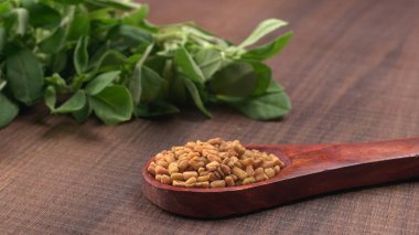 Kuru kişniş tohumları ile küçük bambu kaşığı ve yeşil taze demet kişniş yaprakları, Asya mutfağında ünlü baharatlar..