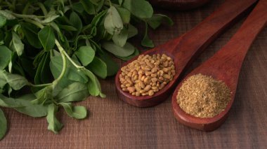 Kuru kişniş tohumları ile küçük bambu kaşıkları ve yeşil demet kişniş yaprakları, Asya mutfağında ünlü baharatlar..