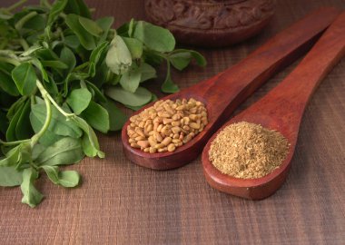 Kuru kişniş tohumları ile küçük bambu kaşıkları ve yeşil demet kişniş yaprakları, Asya mutfağında ünlü baharatlar..