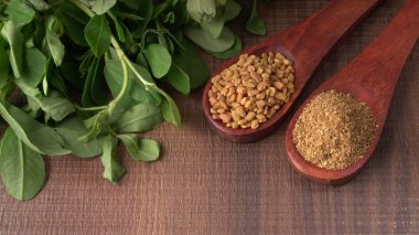 Kuru kişniş tohumları ile küçük bambu kaşıkları ve yeşil demet kişniş yaprakları, Asya mutfağında ünlü baharatlar..