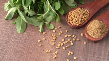 Kuru kişniş tohumları ile küçük bambu kaşıkları ve yeşil demet kişniş yaprakları, Asya mutfağında ünlü baharatlar..