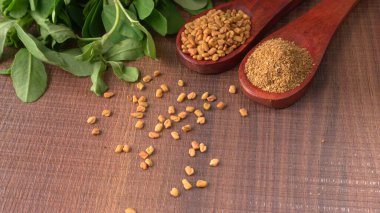 Kuru kişniş tohumları ile küçük bambu kaşıkları ve yeşil demet kişniş yaprakları, Asya mutfağında ünlü baharatlar..