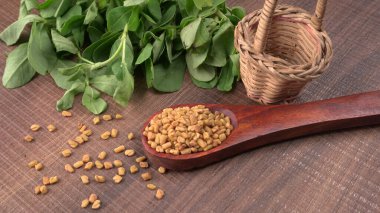 Kuru kişniş tohumları ile küçük bambu kaşığı ve yeşil taze demet kişniş yaprakları, Asya mutfağında ünlü baharatlar..