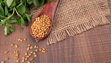 Kuru kişniş tohumları ile küçük bambu kaşığı ve yeşil taze demet kişniş yaprakları, Asya mutfağında ünlü baharatlar..