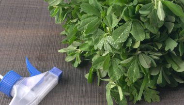 Ahşap arka planda bir sürü taze yeşillik. Vejetaryen gıda yaşam tarzı konsepti, alanı kopyala.