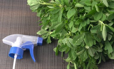 Ahşap arka planda bir sürü taze yeşillik. Vejetaryen gıda yaşam tarzı konsepti, alanı kopyala.