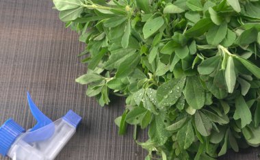 Ahşap arka planda bir sürü taze yeşillik. Vejetaryen gıda yaşam tarzı konsepti, alanı kopyala.