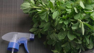 Ahşap arka planda bir sürü taze yeşillik. Vejetaryen gıda yaşam tarzı konsepti, alanı kopyala.