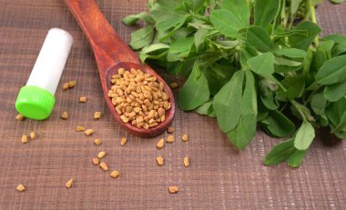 Kuru kişniş tohumları ile küçük bambu kaşığı ve yeşil taze demet kişniş yaprakları, Asya mutfağında ünlü baharatlar..