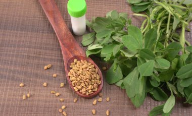 Kuru kişniş tohumları ile küçük bambu kaşığı ve yeşil taze demet kişniş yaprakları, Asya mutfağında ünlü baharatlar..