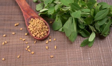 Kuru kişniş tohumları ile küçük bambu kaşığı ve yeşil taze demet kişniş yaprakları, Asya mutfağında ünlü baharatlar..