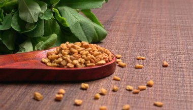 Kuru kişniş tohumları ile küçük bambu kaşığı ve yeşil taze demet kişniş yaprakları, Asya mutfağında ünlü baharatlar..