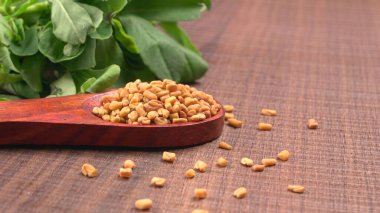 Kuru kişniş tohumları ile küçük bambu kaşığı ve yeşil taze demet kişniş yaprakları, Asya mutfağında ünlü baharatlar..