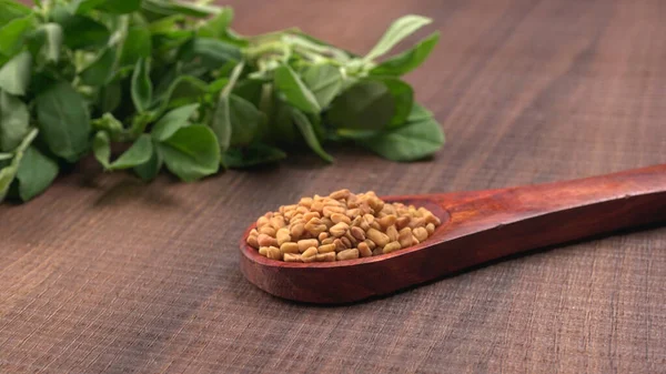 Kuru kişniş tohumları ile küçük bambu kaşığı ve yeşil taze demet kişniş yaprakları, Asya mutfağında ünlü baharatlar..