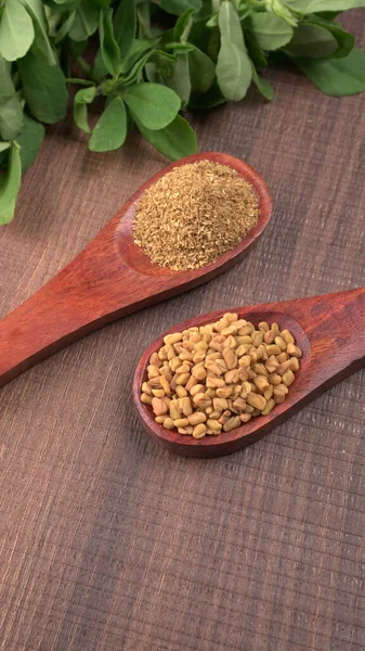 Kuru kişniş tohumları ile küçük bambu kaşıkları ve yeşil demet kişniş yaprakları, Asya mutfağında ünlü baharatlar..