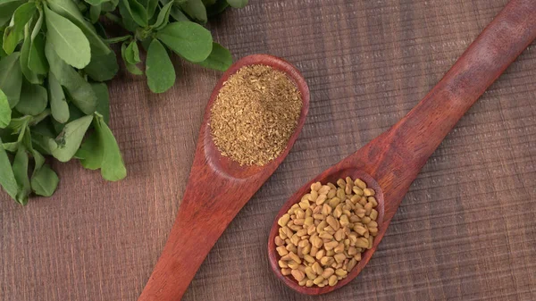 Kuru kişniş tohumları ile küçük bambu kaşıkları ve yeşil demet kişniş yaprakları, Asya mutfağında ünlü baharatlar..