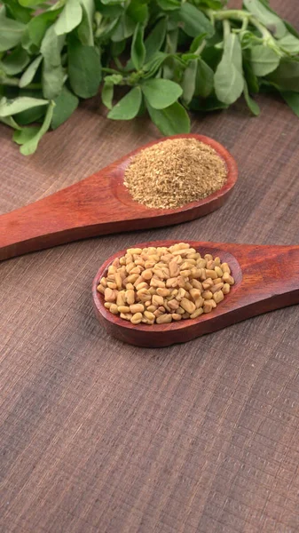 Dry Coriander Seeds Small Bamboo Spoons Green Fresh Bunch Coriander — Stockfoto