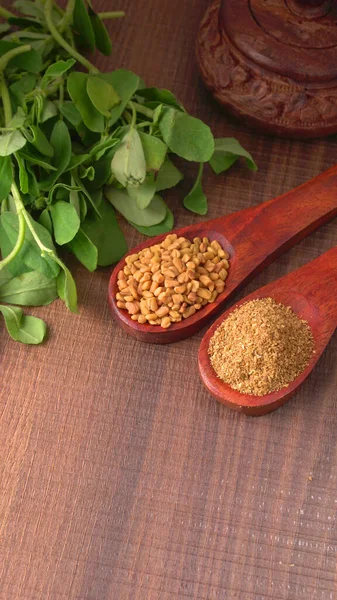 Dry Coriander Seeds Small Bamboo Spoons Green Fresh Bunch Coriander — Foto de Stock