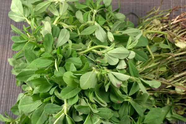 Ahşap arka planda bir sürü taze yeşillik. Vejetaryen gıda yaşam tarzı konsepti, alanı kopyala.