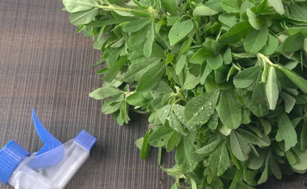 Ahşap arka planda bir sürü taze yeşillik. Vejetaryen gıda yaşam tarzı konsepti, alanı kopyala.