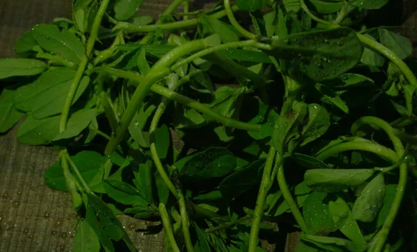 Ahşap arka planda bir sürü taze yeşillik. Vejetaryen gıda yaşam tarzı konsepti, alanı kopyala.