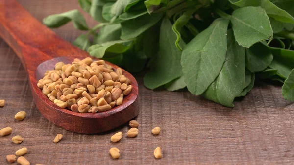 Kuru kişniş tohumları ile küçük bambu kaşığı ve yeşil taze demet kişniş yaprakları, Asya mutfağında ünlü baharatlar..