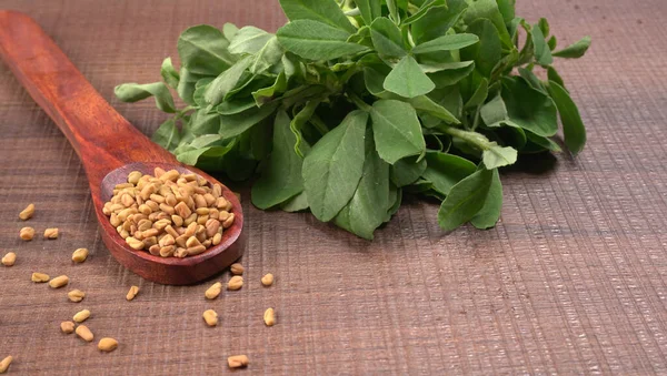 Kuru kişniş tohumları ile küçük bambu kaşığı ve yeşil taze demet kişniş yaprakları, Asya mutfağında ünlü baharatlar..