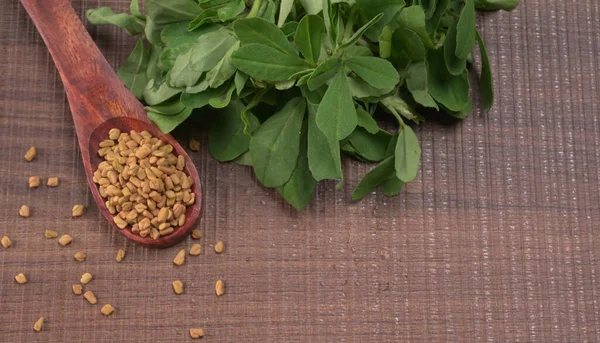 Kuru kişniş tohumları ile küçük bambu kaşığı ve yeşil taze demet kişniş yaprakları, Asya mutfağında ünlü baharatlar..