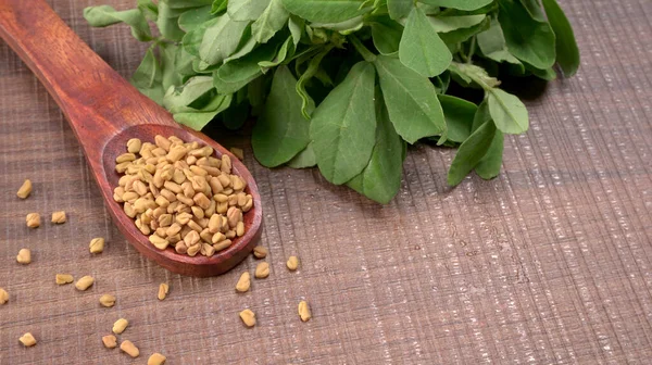 Kuru kişniş tohumları ile küçük bambu kaşığı ve yeşil taze demet kişniş yaprakları, Asya mutfağında ünlü baharatlar..