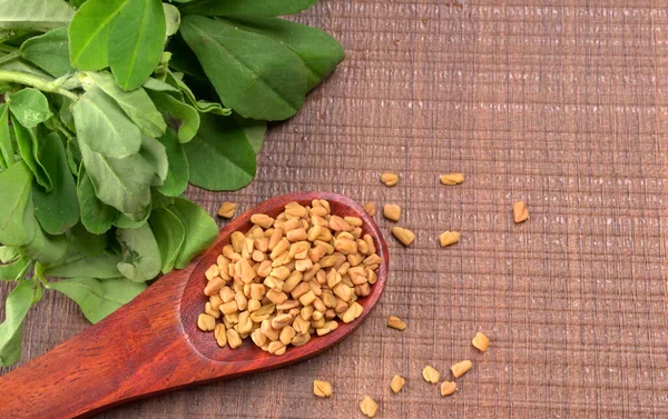 Kuru kişniş tohumları ile küçük bambu kaşığı ve yeşil taze demet kişniş yaprakları, Asya mutfağında ünlü baharatlar..