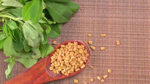 Kuru kişniş tohumları ile küçük bambu kaşığı ve yeşil taze demet kişniş yaprakları, Asya mutfağında ünlü baharatlar..