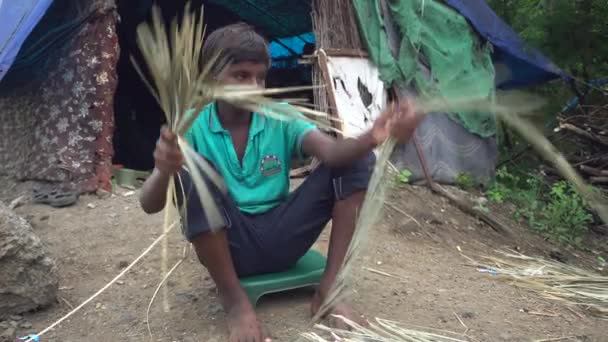 Индийский Мальчик Ломает Большой Лист Дворе — стоковое видео
