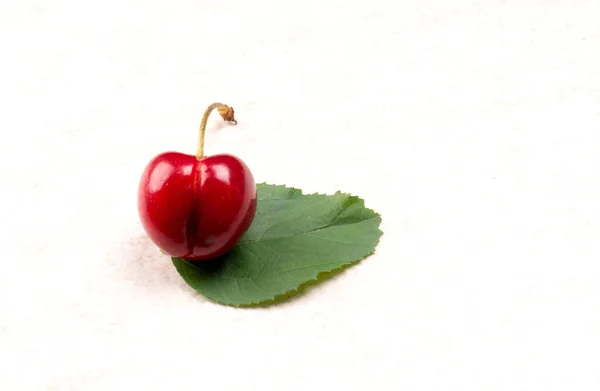 Primer Plano Cereza Madura Aislada Sobre Fondo Blanco — Foto de Stock