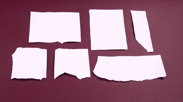 白色撕破条纹 笔记本 文字或信息的便笺贴在紫色背景上 — 图库照片