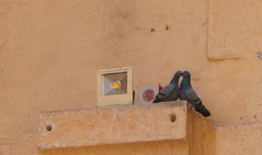 Details of ancient Indian temple