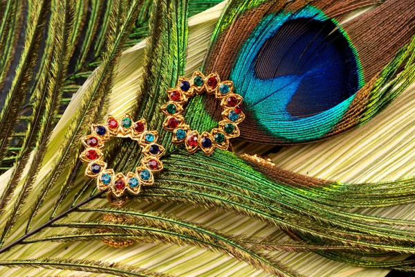 Golden Earrings Peacock Feather — 스톡 사진