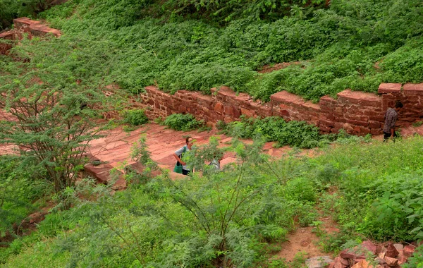 Ancient Road Green Nature India — 图库照片