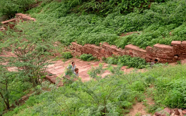 Древняя Дорога Зеленой Природой Индии — стоковое фото