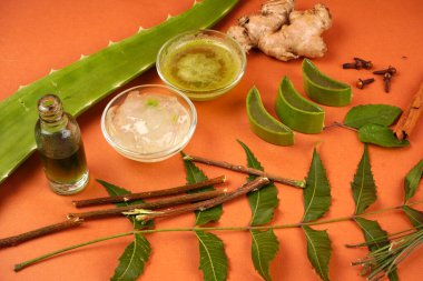 Ginger and aloe vera leaves with cosmetic cream and juice in bowls on orange background                 
