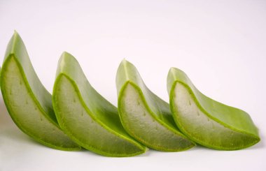 Aloe vera leaf slices isolated on white background