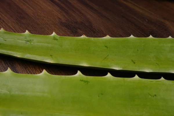 Aloe Vera Blad Trä Bakgrund — Stockfoto