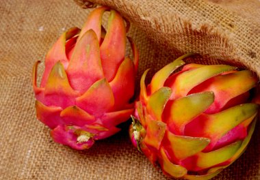 Fresh ripe tropical dragon fruit
