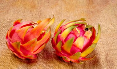 Fresh ripe dragon fruit on sack background