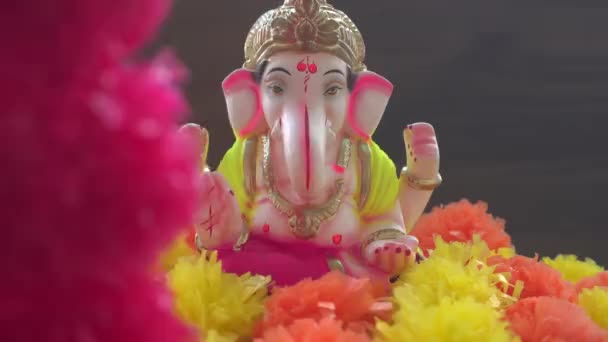 Estatua Hindú Ganesha Con Pompones Colores India — Vídeos de Stock