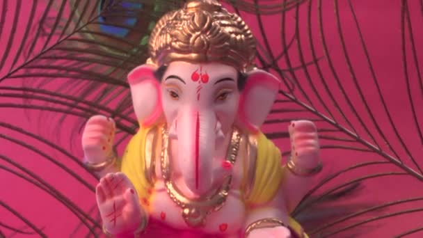 Ganesha Hindu Statue Mit Pfauenfedern Auf Rotem Hintergrund — Stockvideo