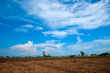 Hindistan kırsalında tarım arazisi
