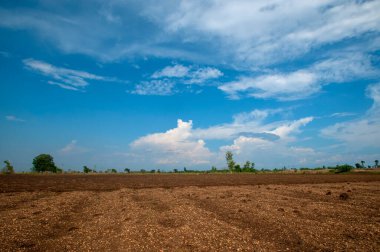 Hindistan kırsalında tarım arazisi