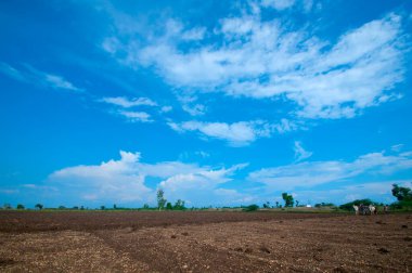 Hindistan kırsalında tarım arazisi