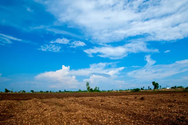 Hindistan kırsalında tarım arazisi